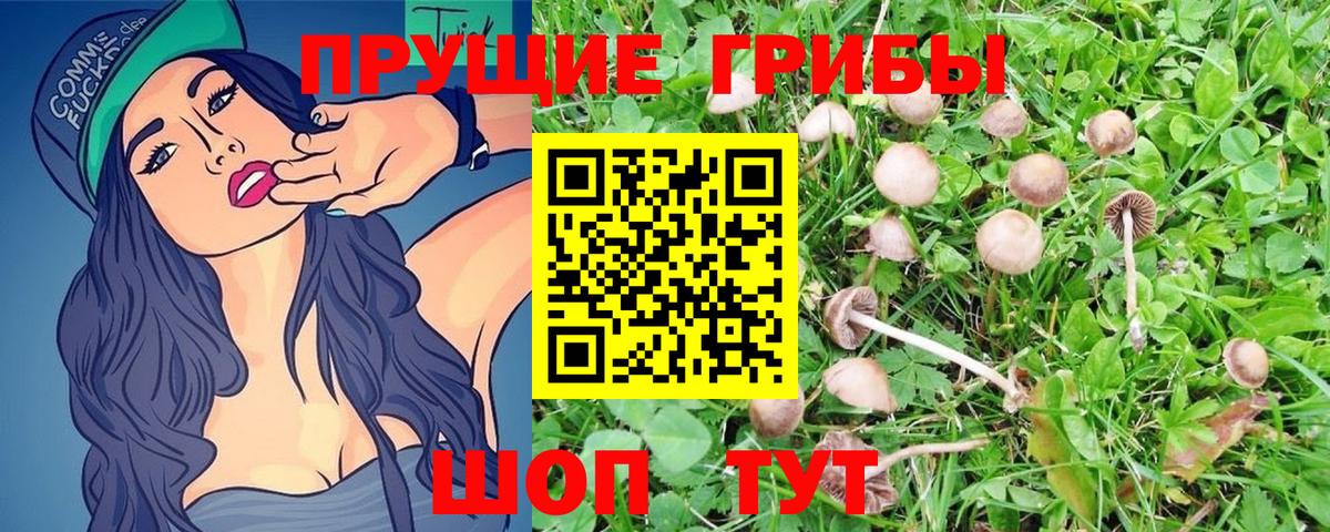Псилоцибиновые грибы GOLDEN TEACHER  Псилоцибиновые грибы Magic Shrooms  Пугачёв  Вход с VPN 