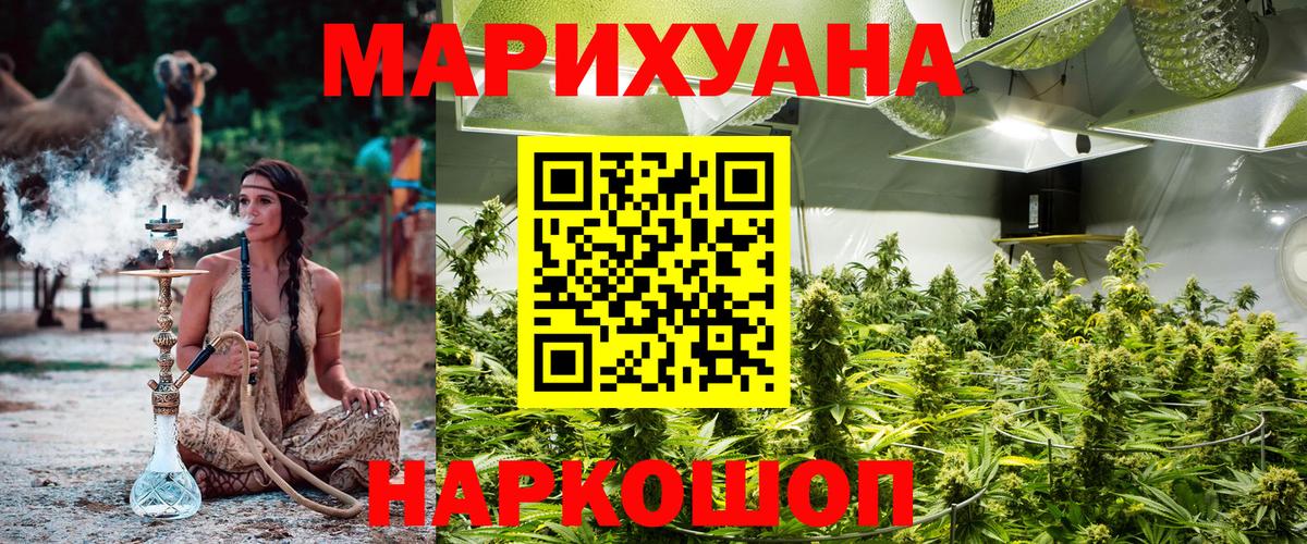 Пугачёв  Марихуана сатива  Вход с VPN  Марихуана VHQ  Канабис план 